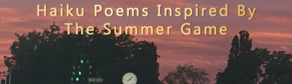 23 Minutes That Had Me Hooked On Cricket For&nbsp;Life